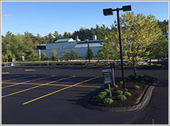 Residential Driveway Paving